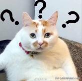 电脑卡的绝招,电脑防卡小技巧