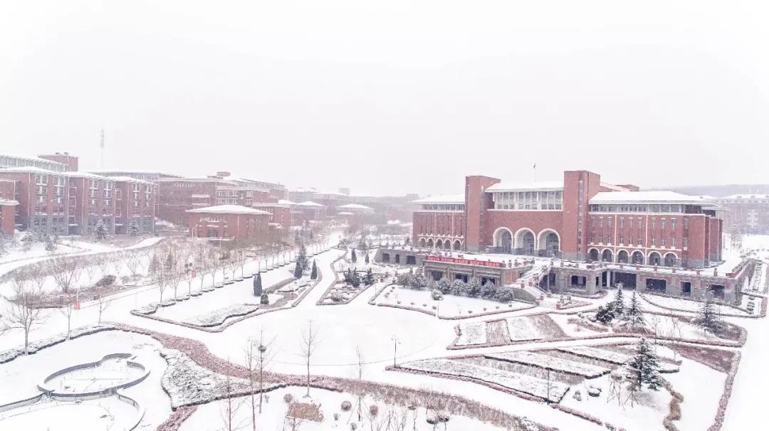 民办学校大连艺术学院全国排名,大连艺术学院辽宁排名