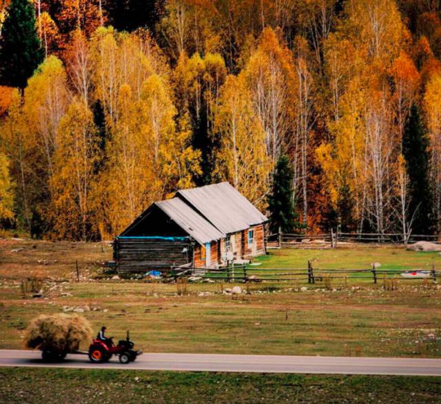 阿勒泰秋天有多美,秋天的新疆阿勒泰太美