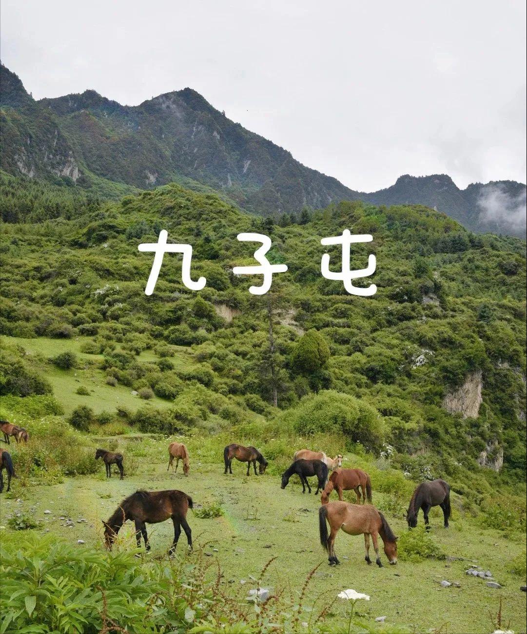 国庆成都周边旅游攻略推荐,成都周边旅游国庆2-3天推荐地方