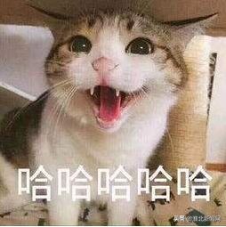 淮北市人民医院新院区啥时候搬迁,淮北人民医院新院区投入使用了吗