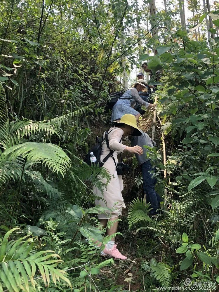 长泰县戴氏族谱,漳州市长泰县戴氏