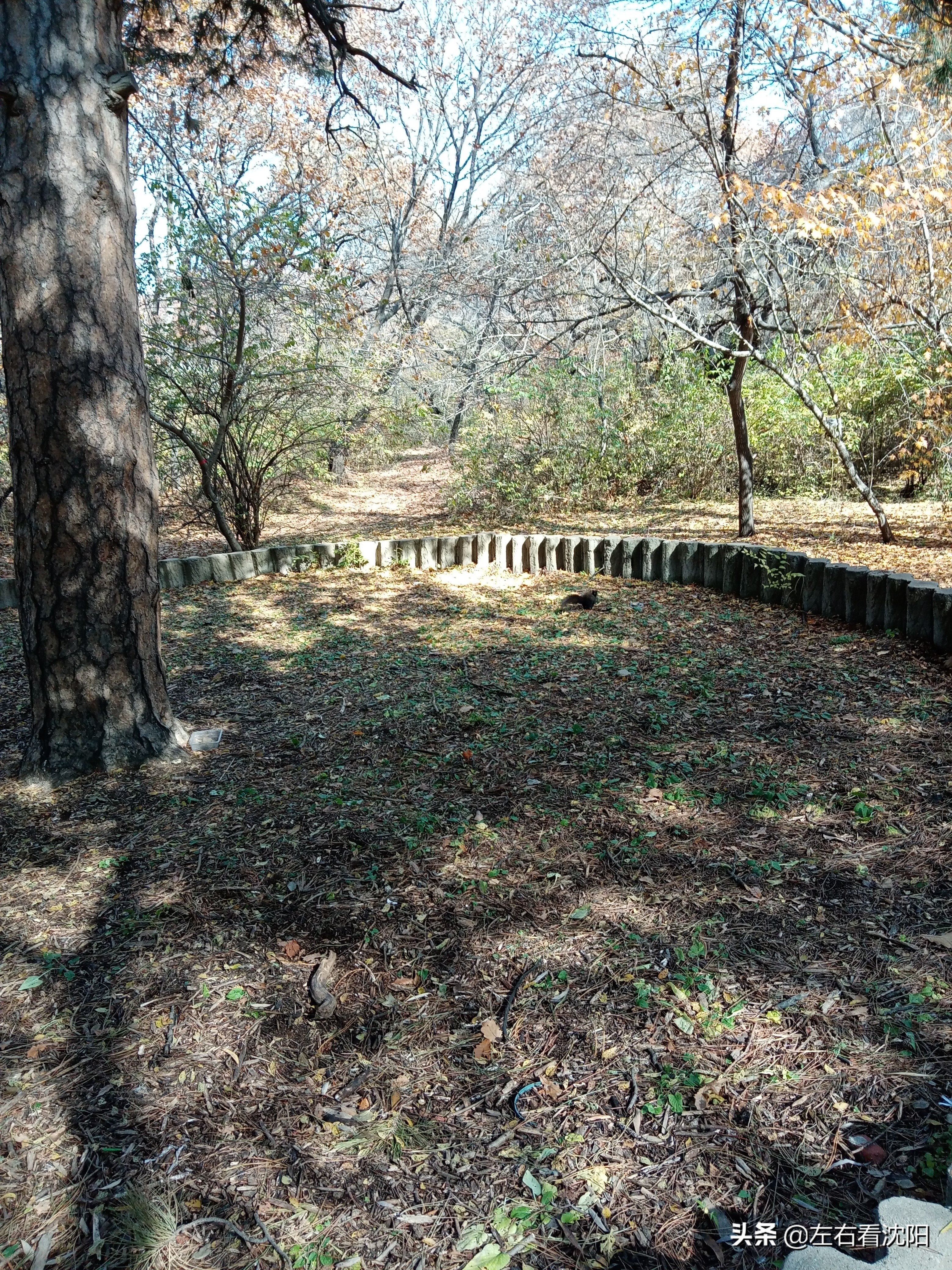 秋季沈阳北陵公园有啥好玩的,漫步沈阳北陵公园湖水边