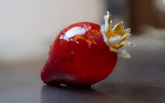 神奇学习机器,机器学习最新应用方向