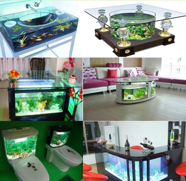 家居鱼缸摆放有哪些风水禁忌,鱼缸家居摆放风水讲究图片