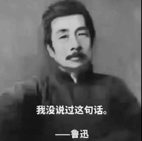 泰迪养杂了该怎么办,泰迪犬养熟