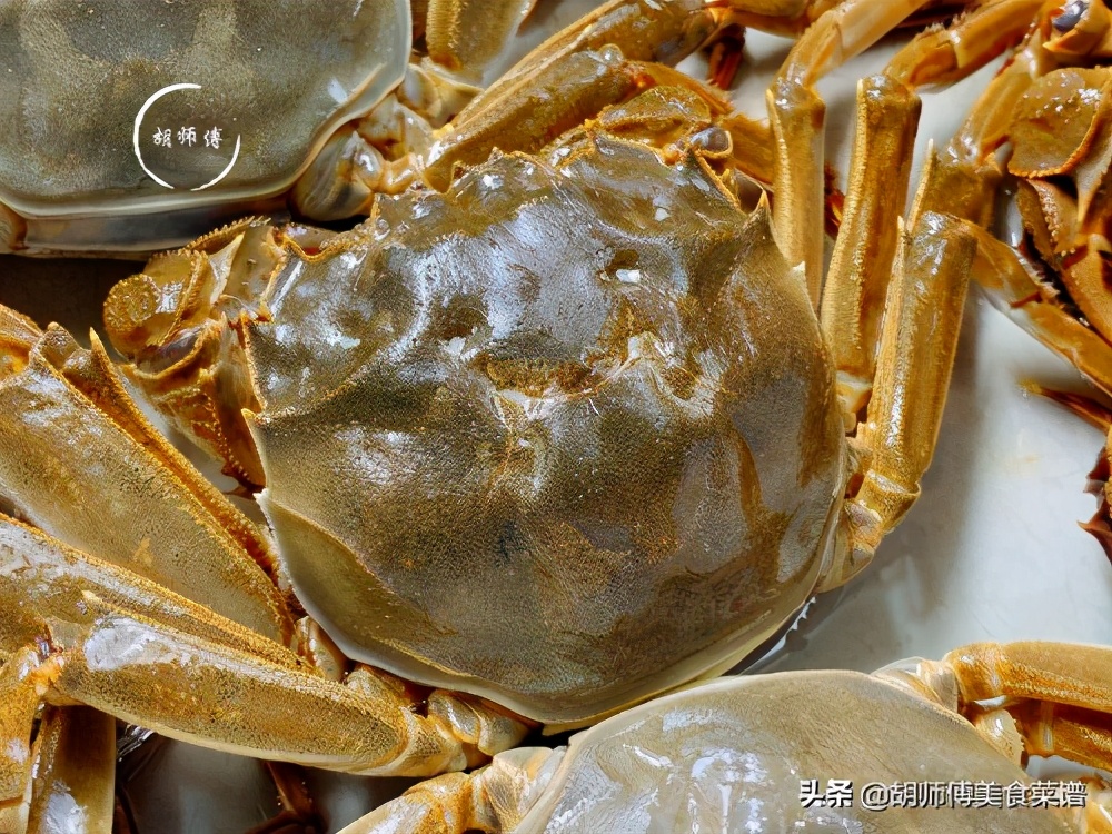 买螃蟹时怎么挑,买螃蟹挑母的还是公的