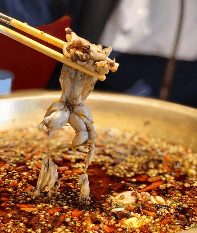 美食江湖又杀出了一对新CP~武汉仅79元抢味小宝砂锅蛙蛙鸡2人餐