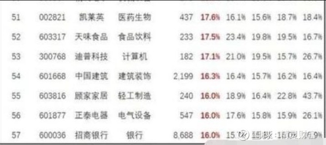 中国股市十大盈利科技公司,中国股市收益最高的股票