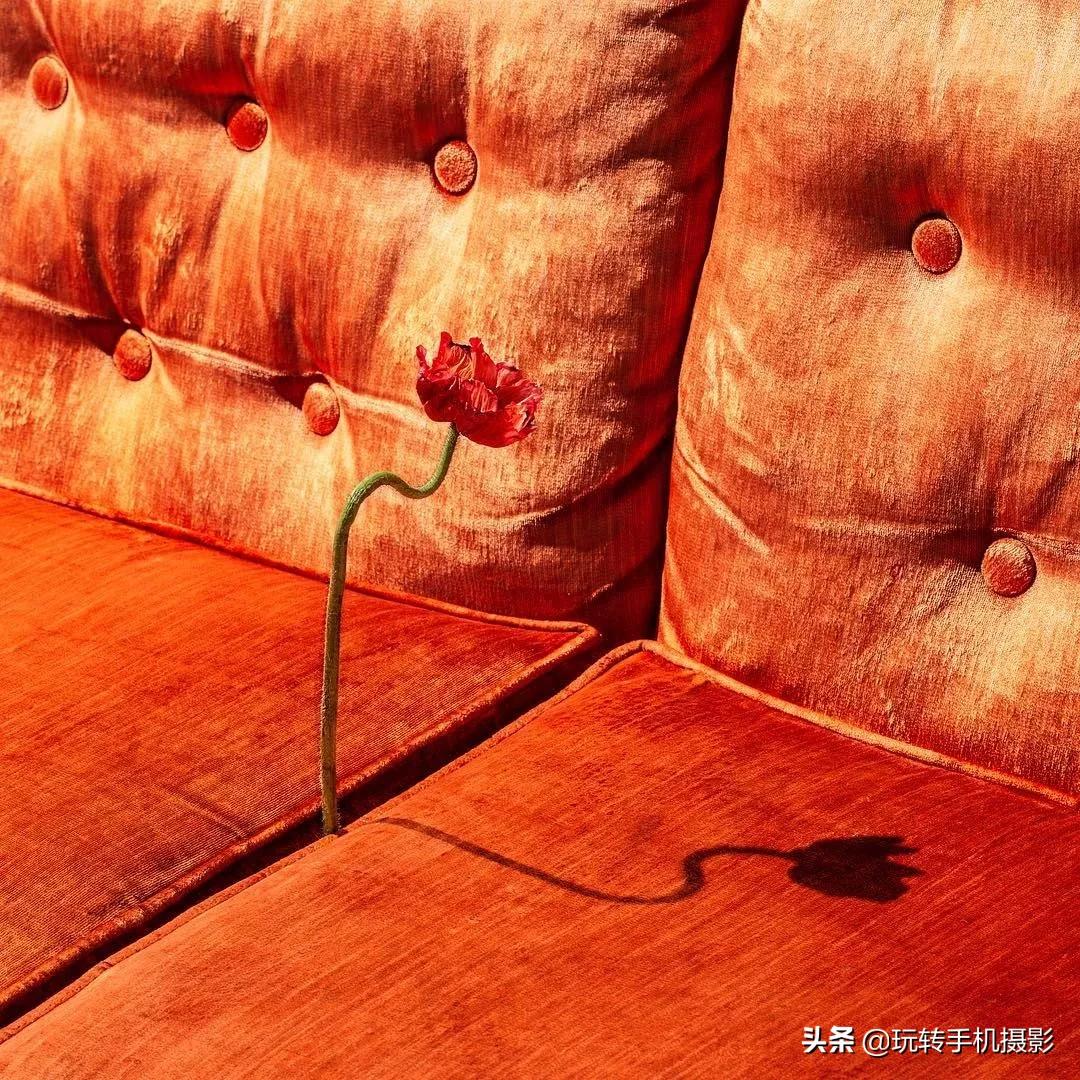 在家拍摄100个创意技巧,在家拍摄100个创意摄影方案