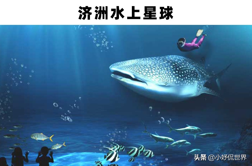 全球最大的三个大型水族馆,世界最著名的淡水水族馆