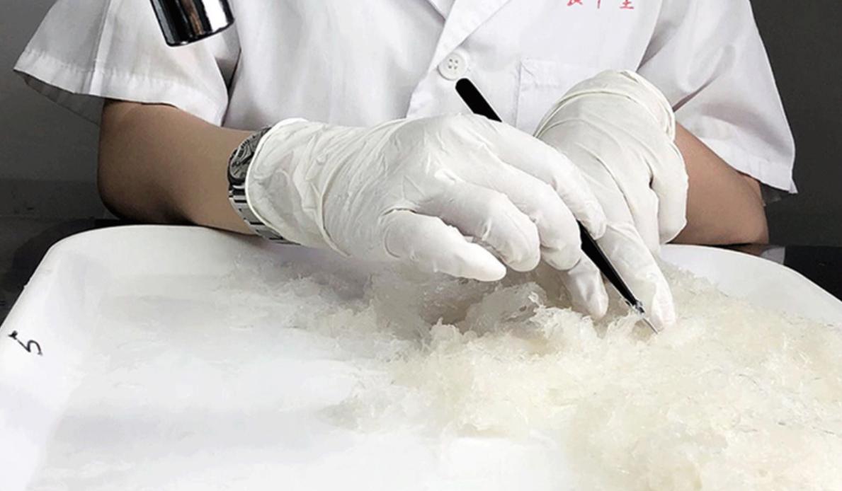 溯源码燕盏炖煮好的样子,燕盏溯源码燕窝干盏