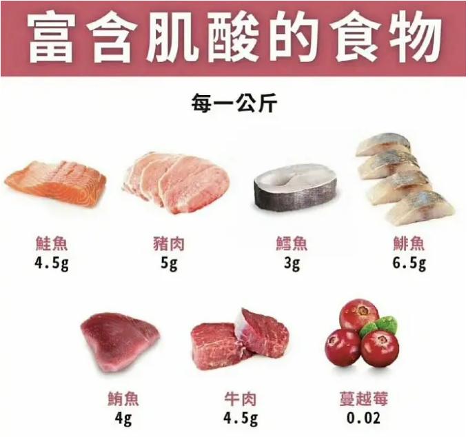 肌酸是什么补剂正确服用方法,肌酸是怎么起作用的