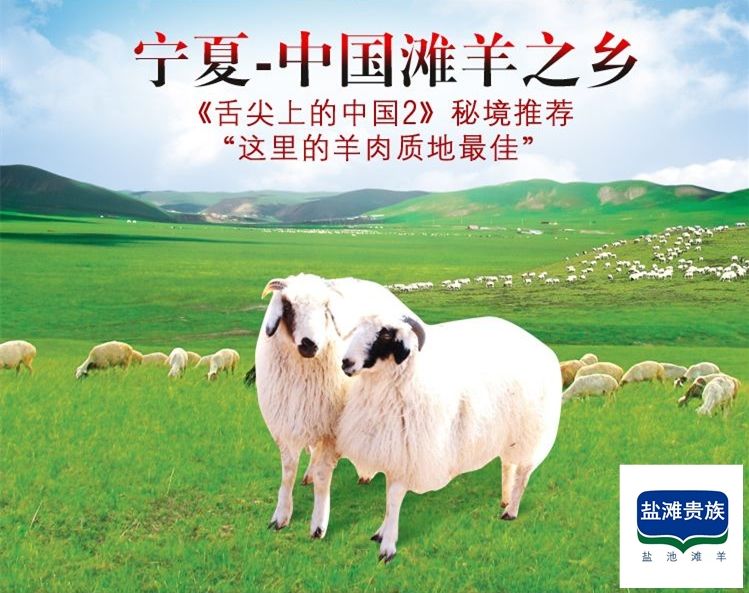 羊时代牧羊人烧烤,宁夏贵族滩羊