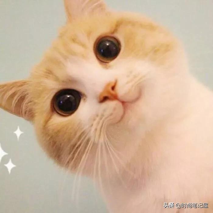 女生聊天怎么才能让男生心动,小学生做两个动作能让男生心动