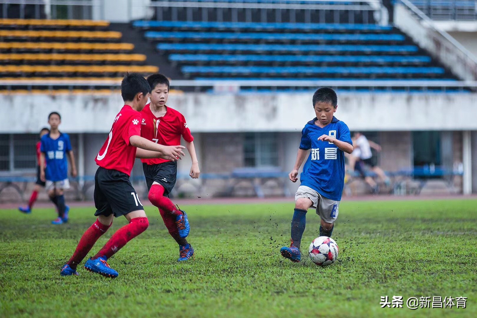 激情绿茵运动会入场,绍兴青少年足球锦标赛