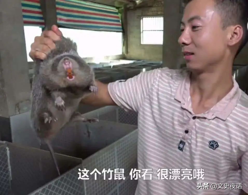 网上的一些土味视频盘点,土味视频被网爆