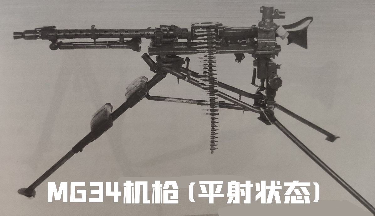 英国枪史图册全篇,德国枪图片