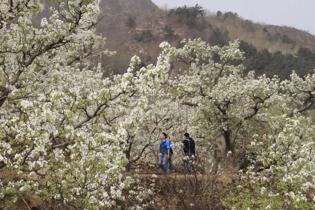 深度|京承线上“小慢车”，跑出老乡幸福路