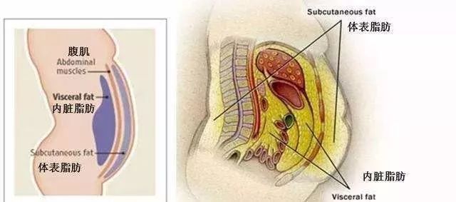 瘦人糖尿病如何增加体重,糖尿病瘦人怎么锻炼肌肉