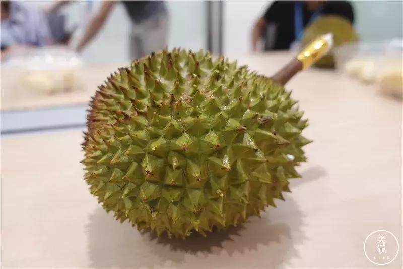 做完这期测评,朋友问我是不是吃“shi”了||美观测评