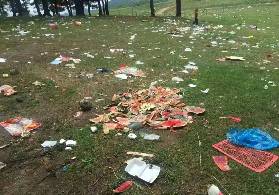 抖音刷得沸沸扬扬，网红美女纷纷跑去跟他咪咪，吐槽星看着好不爽