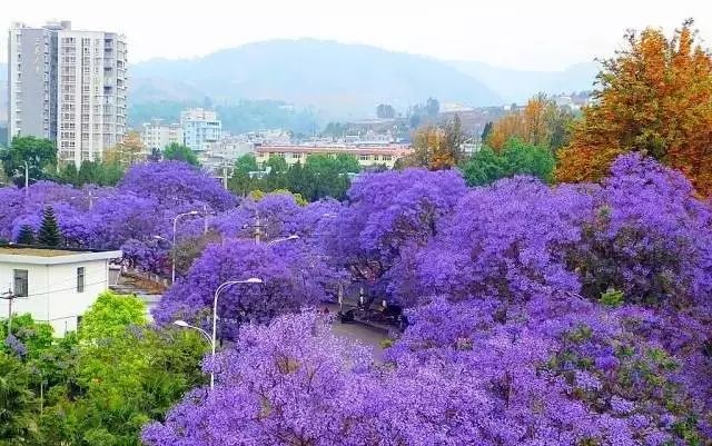 四川藏着一个静谧古城,四川被忽略的古城