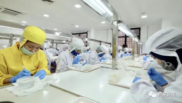 印尼燕窝和马来燕窝有什么区别,泰国的燕窝和印尼的燕窝哪个好