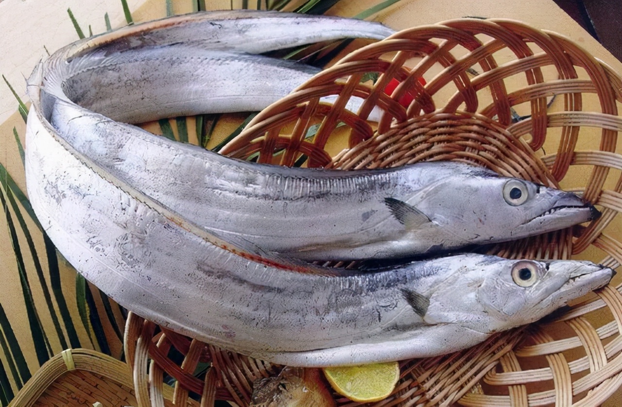 买带鱼黄眼睛和黑眼睛哪个好,买带鱼黄眼睛的好还是黑眼睛的好