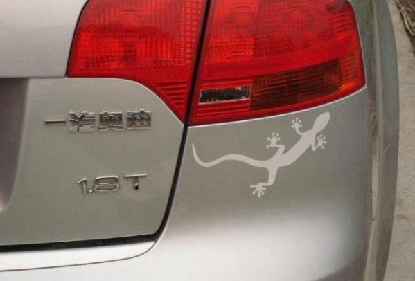 车尾的壁虎可以粘多少年,车后粘壁虎有什么说法