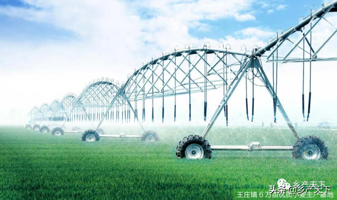 浚县王庄镇简介,浚县王庄镇乡村振兴项目