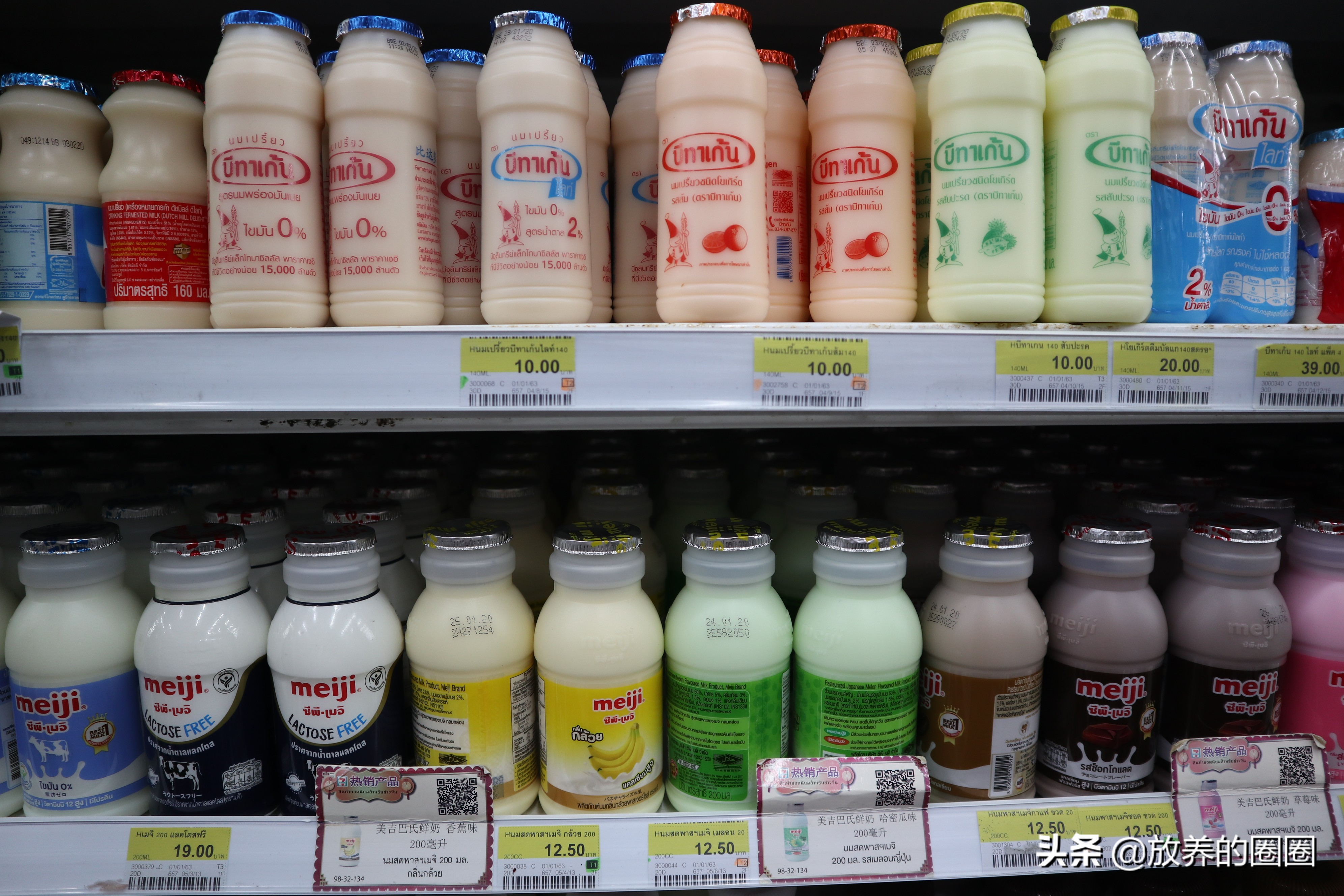 泰国清迈吃货旅游攻略,小清迈泰国菜自由行热门攻略