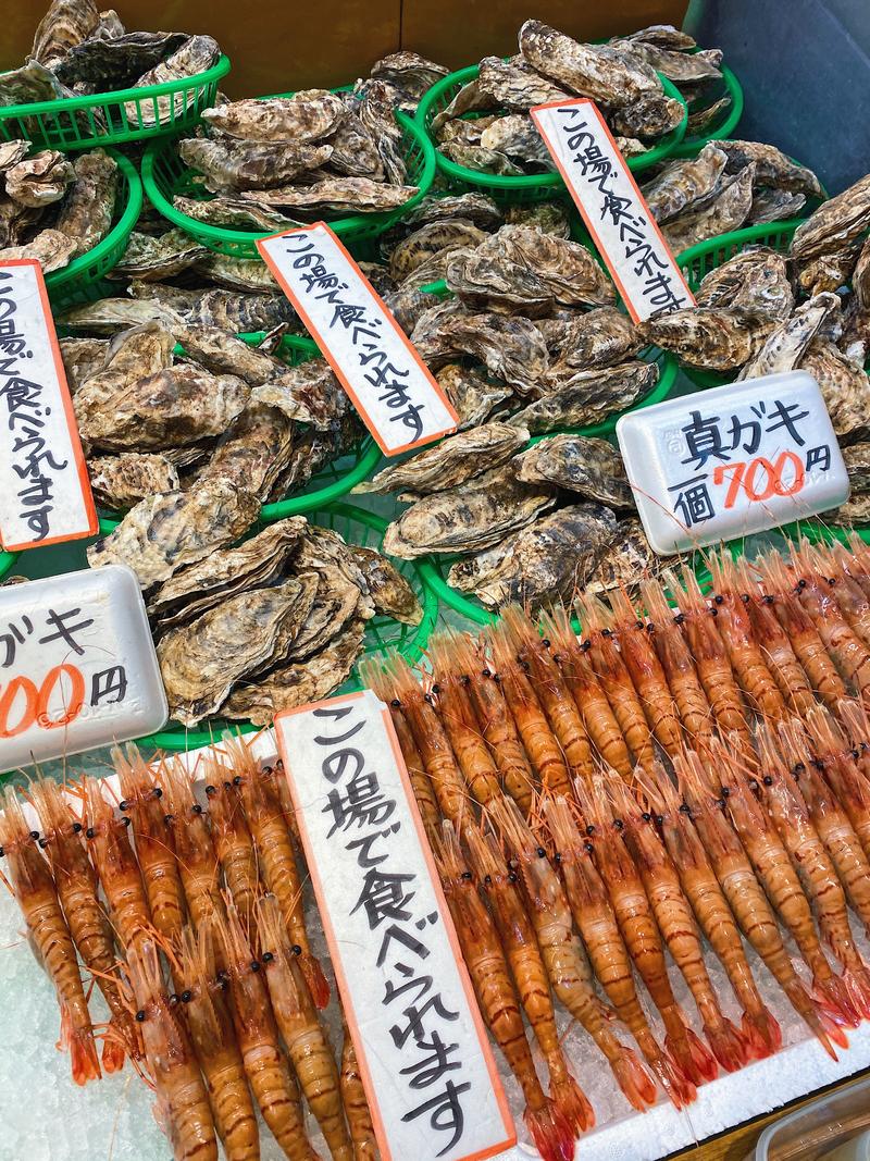 日本小众路线冬,日本冬天观光公路