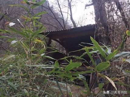 薛山个人简历,薛山长诗词作品