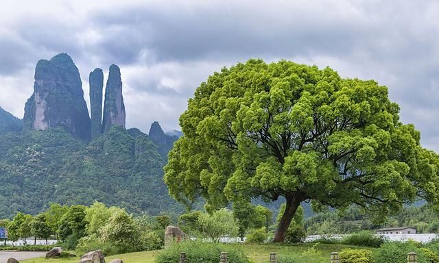 浙江衢州最漂亮的地方,衢州是个美丽的城市