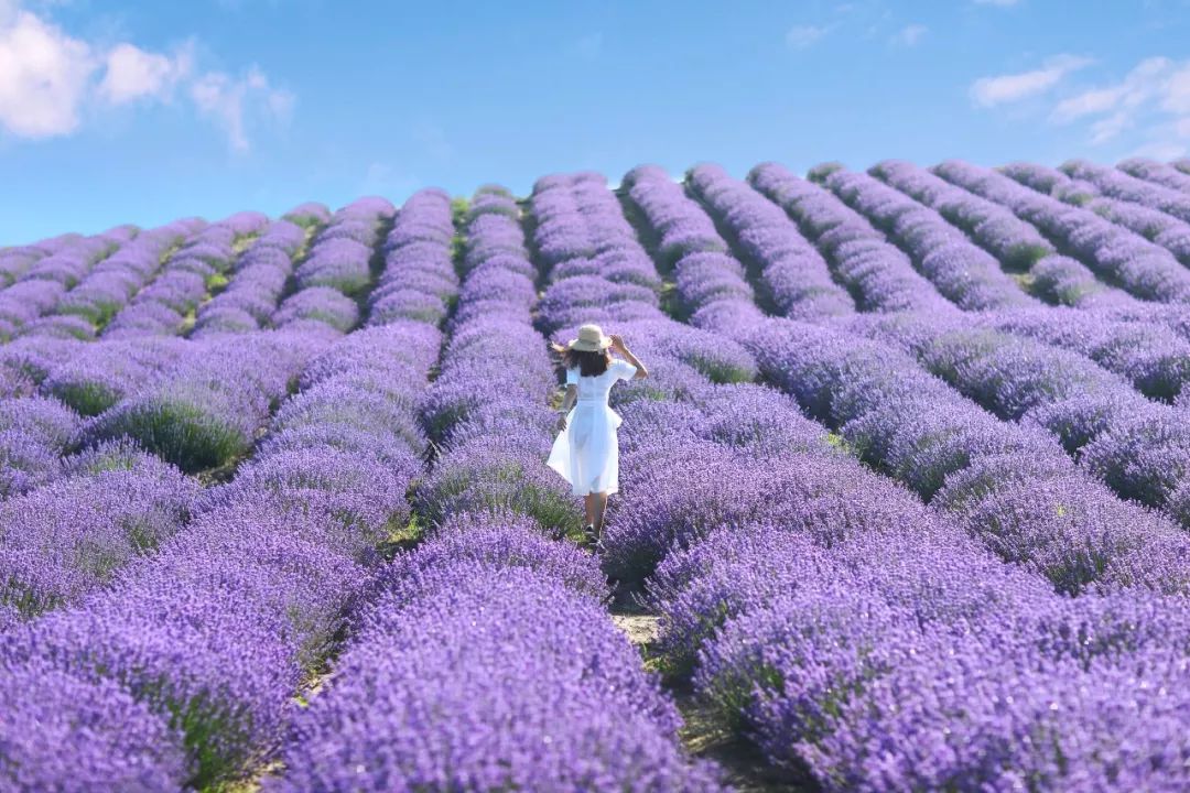 去过18次*疆新**的江南女子，用亲身经历告诉你，*疆新**究竟有多美