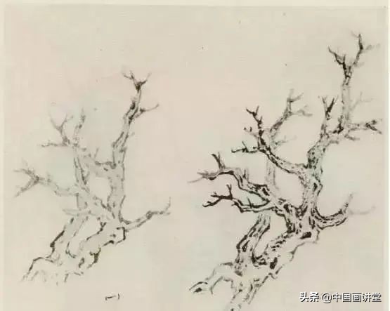 缠枝、挺杆、屈节、钮裂、一棵树如何画?看了这篇你绝对能学会