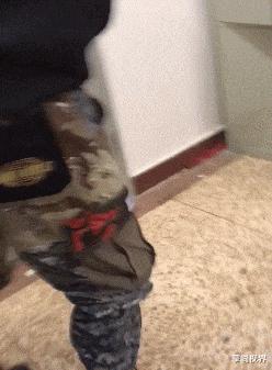 搞笑gif说出来你可能不信,搞笑gif真是令人窒息的操作