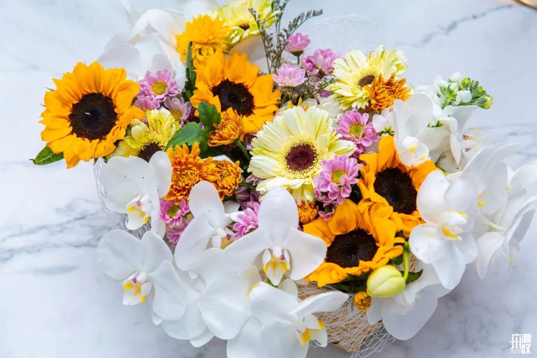 深夜去广州的花卉市场买花,如何逛斗南花卉市场买花便宜