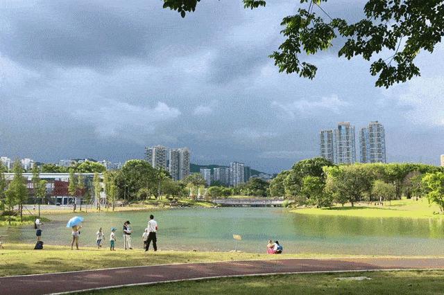 深圳数百公交站台将改名,深圳市改名字政策测试