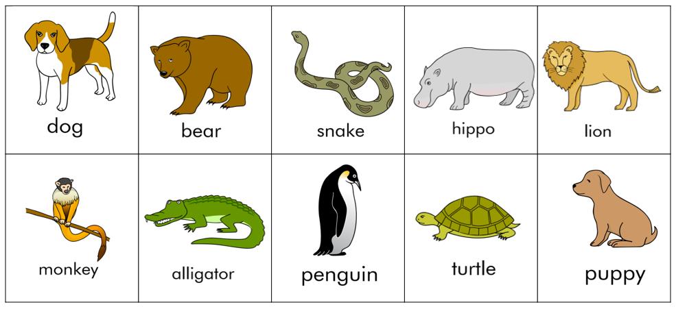 课研教学|《小玻在哪里？》的早教方案，将认知与游戏完美结合