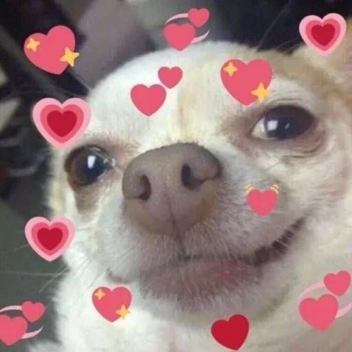 你知道的太多了什么梗,如何知道更多网络梗