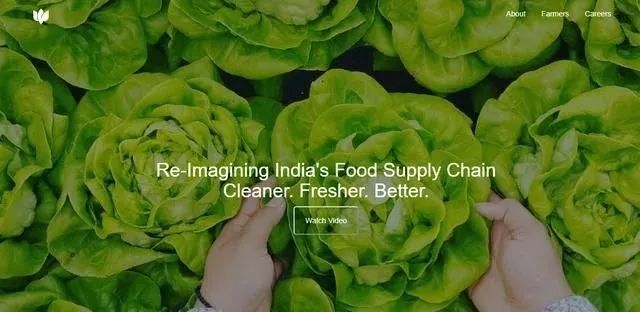 沙漠蝗灾防控措施,国家允许养殖蝗虫吗