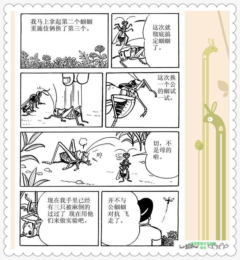 昆虫记法布尔动画片,昆虫记法布尔全套