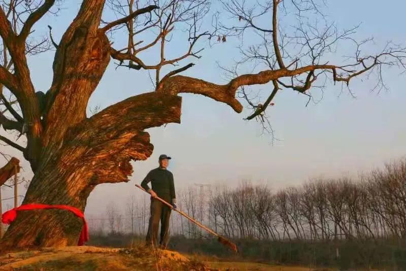 双节星空摄影作品欣赏,一组美丽的星空摄影作品