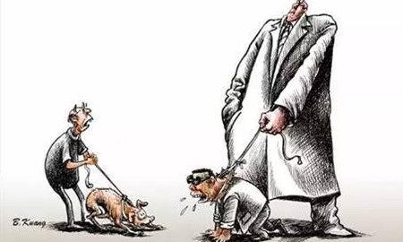 如何看待爱狗与吃狗肉的争议,为什么爱狗人士不能让别人吃狗肉