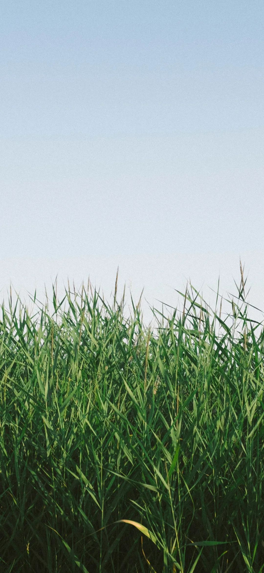 小清新全屏壁纸高清,小清新高清壁纸4k全屏无水印