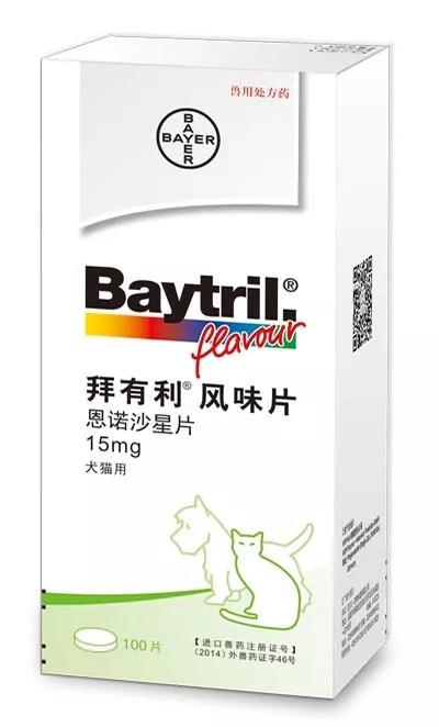 花枝鼠总打喷嚏,作为新手铲屎官,该如何从容应对?