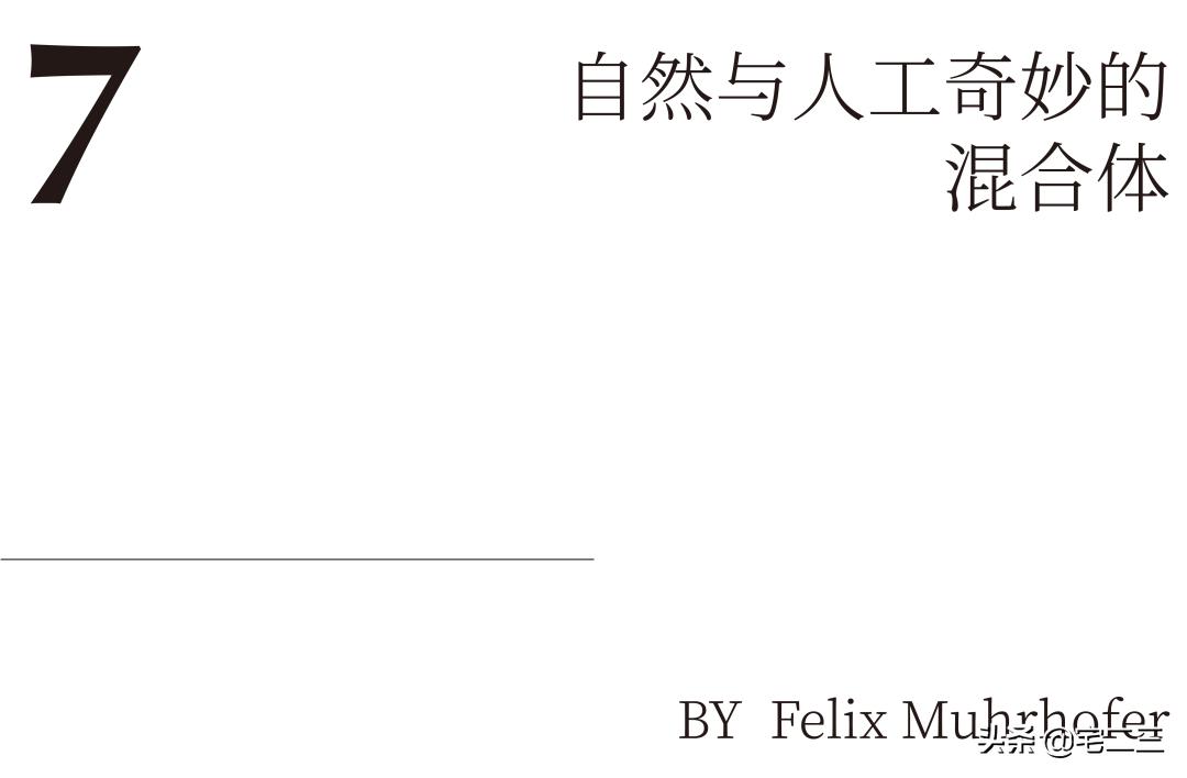回归大众视线,回归现实生活发现生活的美