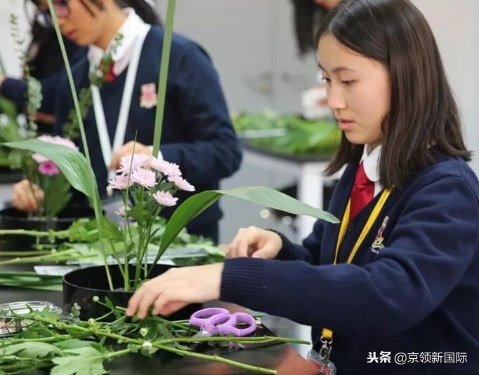 明星孩子为什么选择国际学校,明星孩子爱读国际学校